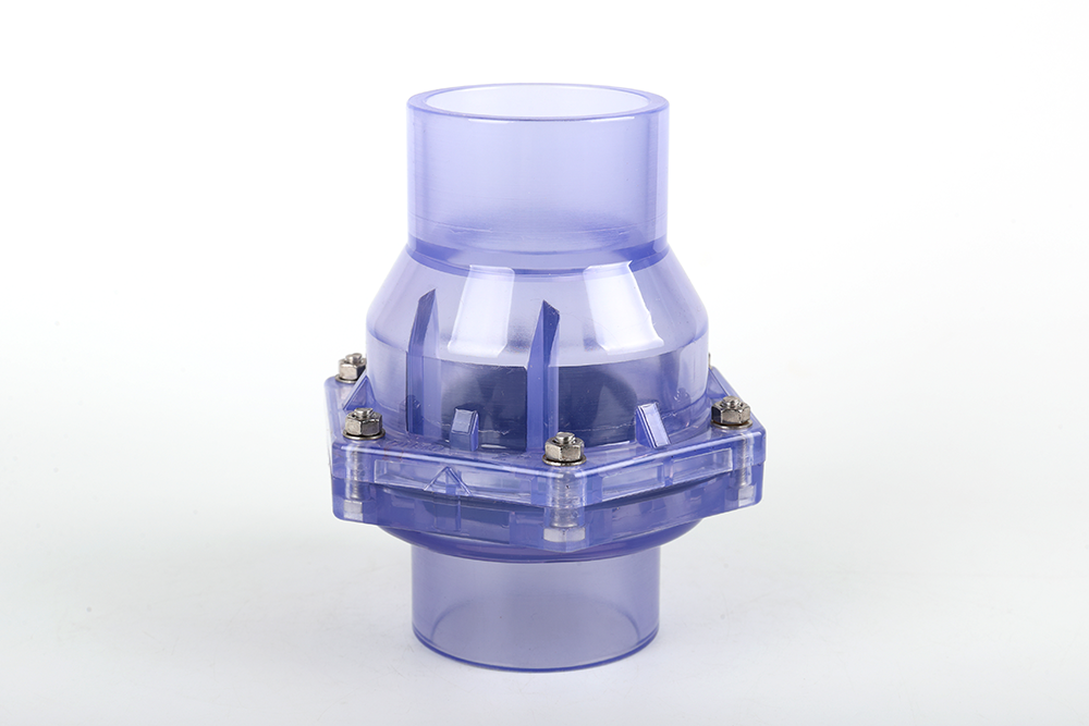 都安透明翻板式止回阀